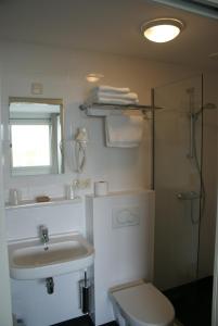 东弗利兰德贺万弗利兰酒店的浴室配有卫生间、盥洗盆和淋浴。