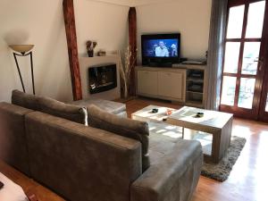贝尔格莱德蓝色多瑙河公寓 的带沙发和电视的客厅