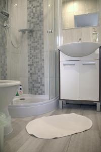 波普拉德24 hour-Self Check-in Apartment Námestie Svätého Egídia的一间带水槽、卫生间和淋浴的浴室
