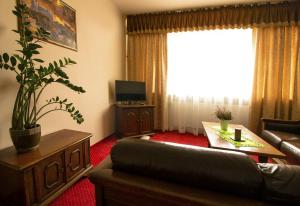 卢布林鲁博林公寓式酒店的带沙发和大窗户的客厅