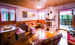 里耶卡Vila Platak的带沙发和壁炉的客厅