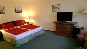 吕本瑙劳奇兹霍夫旅馆的配有一张床和一台平面电视的酒店客房