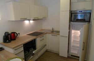 萨尔巴赫Ferienwohnung Loitfelder-Pang的小厨房配有白色橱柜和冰箱。