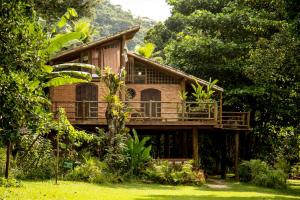 帕拉蒂-米林Paraty Paradiso的木房子,在树林里设有甲板