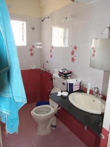 卡兰古特Empire Guest House的一间带卫生间和水槽的浴室