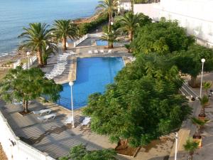 圣卡洛斯拉腊皮塔卡洛斯三世酒店的享有棕榈树游泳池和大海的顶部景色