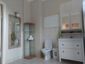 奥达Vikinghaug公寓的一间带卫生间、水槽和镜子的浴室