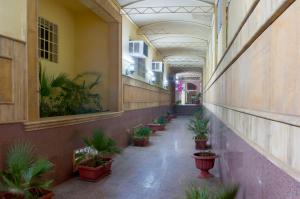 利雅德艾尔珐汗酒店套房 - 艾尔萨拉姆的建筑里空荡荡的走廊,有盆栽植物