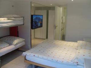 茨韦西门维斯塔度假旅舍的一间卧室配有两张双层床和一台平面电视