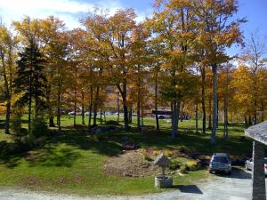 基灵顿瀑布洛奇酒店的享有树木和汽车公园的秋天景色