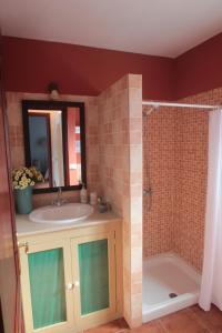 莫卡诺尔Casa Rural la Hojalata的一间带水槽和淋浴的浴室
