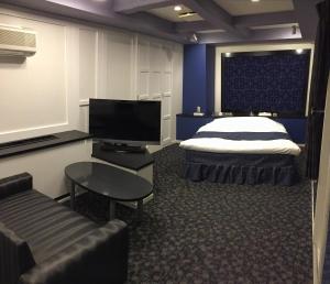名古屋派亚特酒店（仅限成人）的一间酒店客房,配有一张床和一台电视