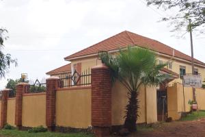 坎帕拉Durban Motel Najjanankumbi Kampala的前面有棕榈树的房子