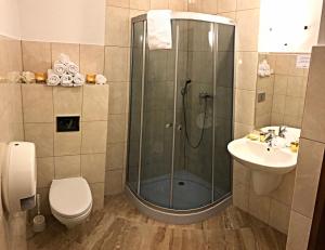 什切尔克Pensjonat BELVEDERE的带淋浴、卫生间和盥洗盆的浴室
