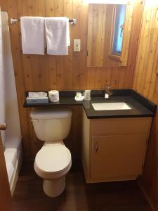 坎莫尔朗德尔山汽车旅馆的一间带卫生间和水槽的浴室