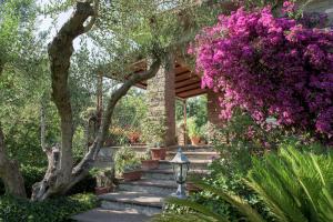 特雷维尼亚诺罗马诺Gli Ulivi的花园,花园内有紫色花卉和楼梯