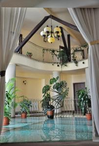 布拉索夫Hotel Rainer的大堂设有盆栽和天花板