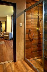 拉巴斯雷诺瓦酒店的带淋浴的浴室和玻璃门