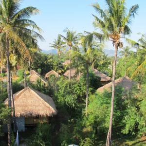 吉利阿尔坦加简易别墅的棕榈树度假村的空中景致