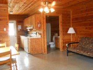 布里奇波特Bay Landing Camping Resort Cabin 14的带沙发的客厅和小屋内的厨房