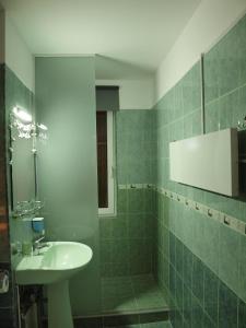 布拉索夫Anna Apartment的绿色瓷砖浴室设有水槽和淋浴
