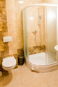 小波兰地区森济舒夫Hotel - Restauracja Platan的带淋浴、卫生间和盥洗盆的浴室