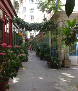 巴黎Petit Paris - Oasis in Marais的充满盆栽植物和花卉的小巷