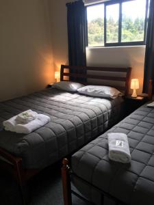 哈斯特湾道汽车旅馆的卧室内的两张床,配有毛巾