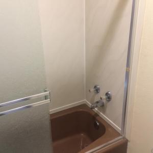 奥克兰皇冠洛奇汽车旅馆的一间带水槽和淋浴的浴室