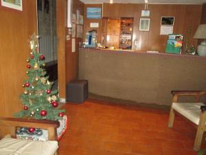 马德普拉塔普尔拉中央酒店的一间有药房的等候室里的圣诞树