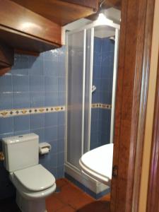 VillahormesCasa Rural Casa Azul的浴室配有卫生间、淋浴和盥洗盆。