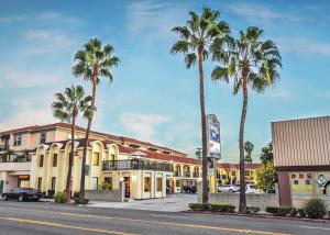格伦代尔Chariot Inn Glendale - Pasadena的一条棕榈树在建筑前的街道