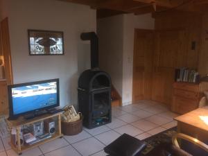 格里门茨Chalet Annika的客厅设有壁炉和电视。