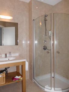 布鲁塞尔豪辛布鲁塞尔客房公寓 的带淋浴和盥洗盆的浴室