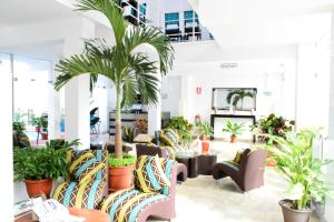 伊基托斯Hotel Jungle House的一间设有椅子的房间,里面种植了棕榈树