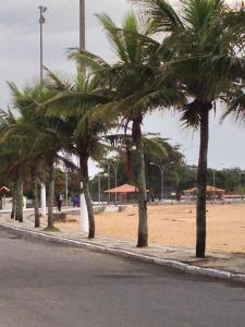 巴拉迪圣若昂Quitinete -Tamoios - Cabo Frio的海滩上一排棕榈树