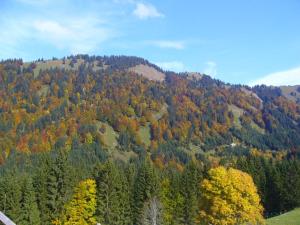 希蒂绍Ferienhütte Kälberweide的树木繁茂的山丘秋天美景