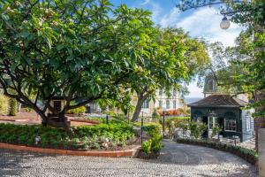 丰沙尔孔德卡瓦利亚尔艺术酒店的一座种有树和房子的花园