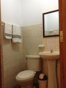 伊察Hostal La Estancia的一间带卫生间、水槽和镜子的浴室