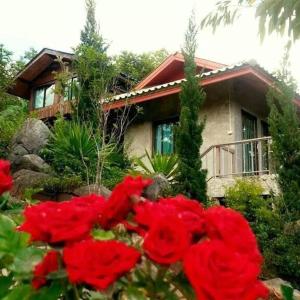 湄安蒙克奥旅馆的前面有红花的房子
