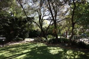 悉尼达西酒店的一片绿地,上面有树和影子