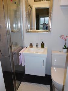 施泰尔Steyr City Apartment mit 2 Schlafzimmer的一间带水槽、淋浴和卫生间的浴室
