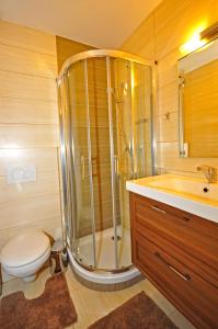 迪马诺卡多林纳Apartment Bartek Ski Rental的带淋浴、卫生间和盥洗盆的浴室