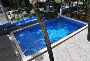 普拉亚埃尔莫萨Hotel El Velero的蓝色游泳池旁的棕榈树