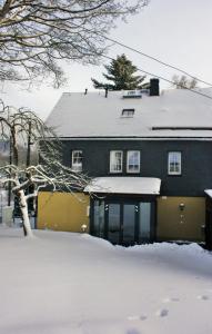 诺伊豪森Apfeltraum-Erzgebirge的雪盖屋顶的房子