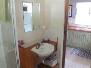 拉罗汤加Are Moe的一间带水槽和镜子的浴室