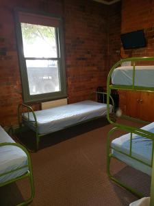 曼斯菲尔德曼斯菲尔德旅客山林小屋汽车旅馆的客房设有两张双层床和一扇窗户。