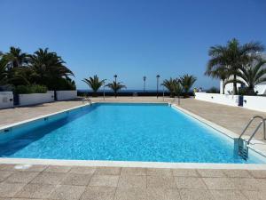 普拉亚布兰卡Las Moreras Apartment 135的棕榈树度假村内的游泳池