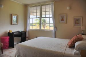 圣菲利普Mermaid Apartments的一间卧室配有一张床、一个窗口和一张书桌