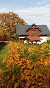 TenczynekApartament Pozytywka的前面有一束鲜花的房子
